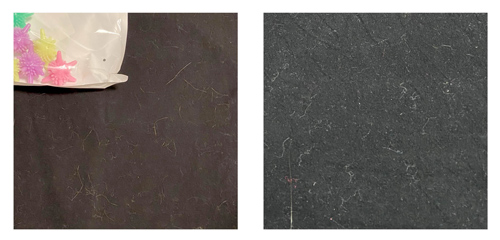 atrapapelos plastico- prenda oscura con pelos antes y despues de lavar